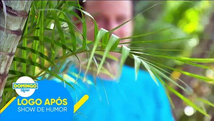 ஜேசஸ் நாவல் 2018 cap 147  em HD