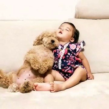 Grosse complicité entre ce mignon chiot et ce bébé !!