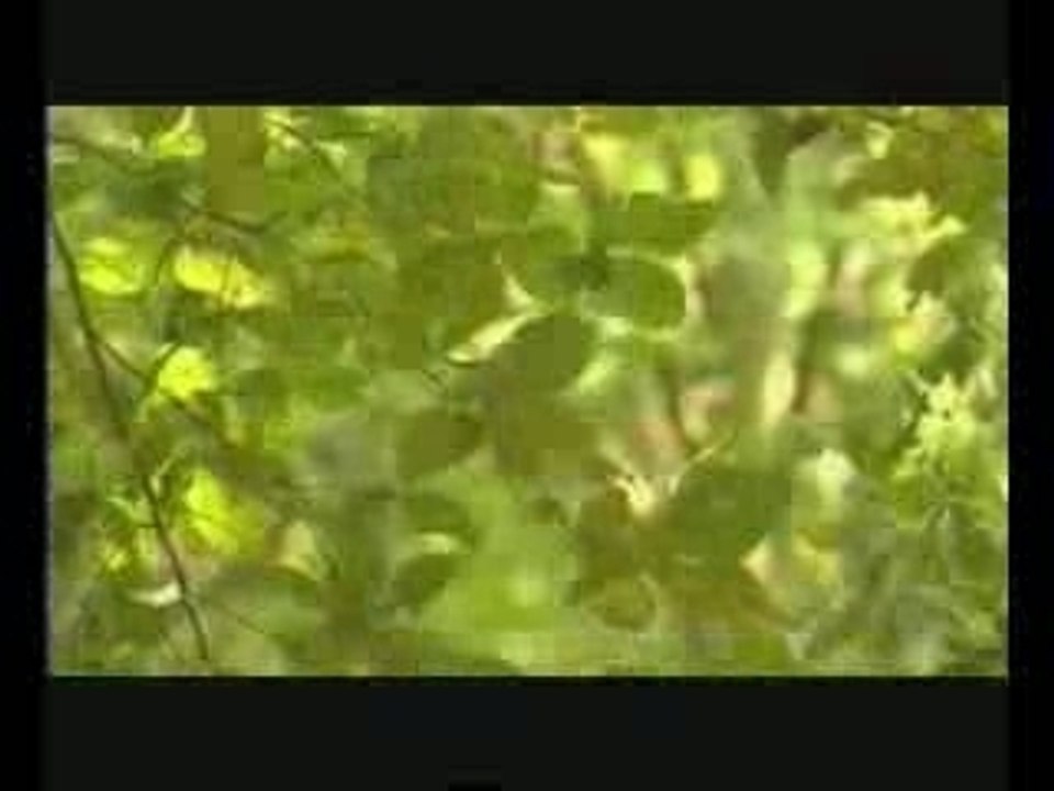 Dursun Ali Erzincanli - Sen Yoktun