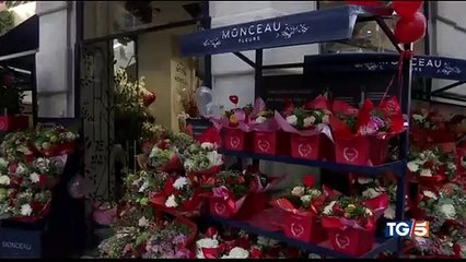 Trani: imbrattata la cattedrale romanica