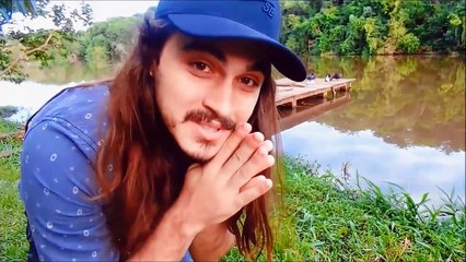 TARÂNTULA MARROM COMEDORA DE PASSAROS