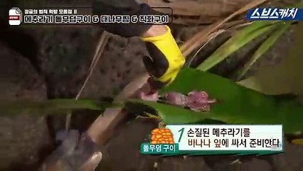 경주출장안마 -신용100%Ø1Øg9528gØ391【카톡KM800】경주전지역출장마사지샵'경주출장wo안마gf경주출장마사지황형ŁØŒ애인대행최강몸매