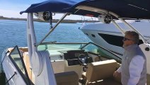 2019 Sea Ray SDX 250 Outboard Boat For Sale at MarineMax Wrightsville Beach
