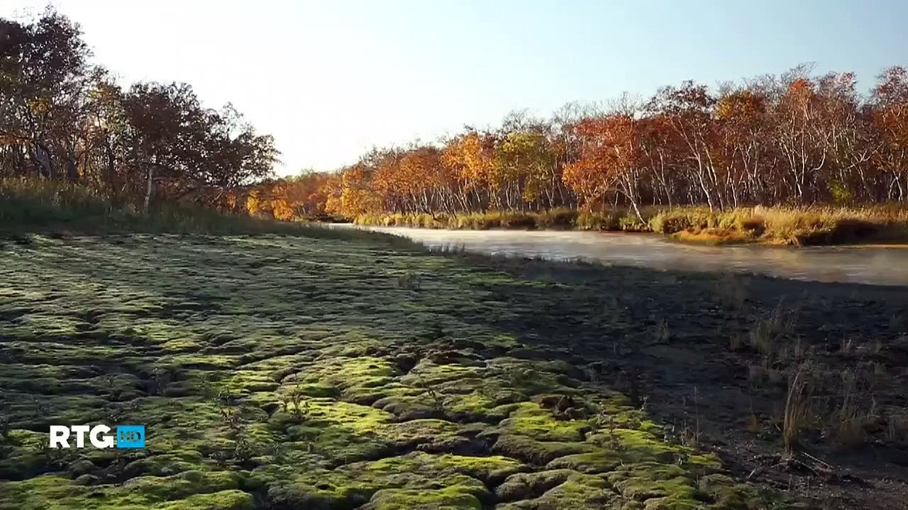 035 Ловля камчатского гольца нахлыстом