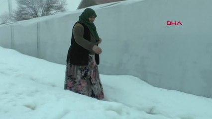 Muş Hayvanları da Kendileri de Çadırda Yaşıyor