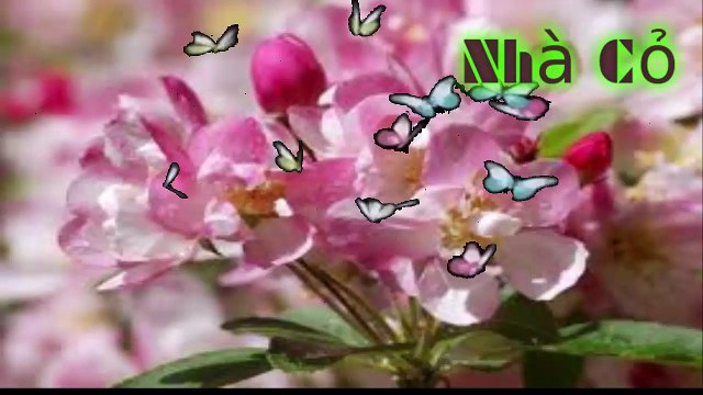 Audio đam mỹ [Chương 33-36] Nhiếp Chính Vương.