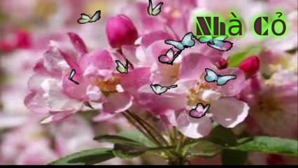 Audio đam mỹ [Chương 33-36] Nhiếp Chính Vương.