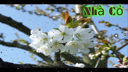 Audio đam mỹ [Chương 42-45] Nhiếp Chính Vương.