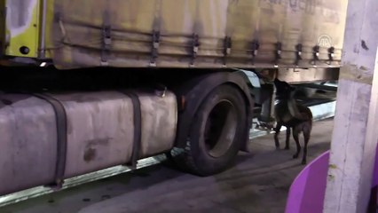 Gürbulak'ta 25 kilogram eroin ele geçirildi - AĞRI