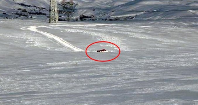 Bingöl'de Paletli Araç, Buzun Kırılmasıyla Suya Gömüldü