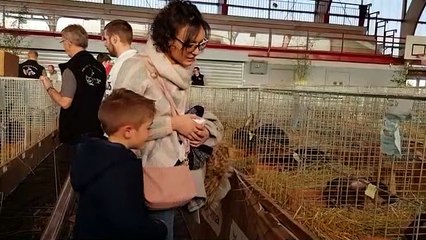 Plus de 500 visiteurs au salon avicole de Château-Salins
