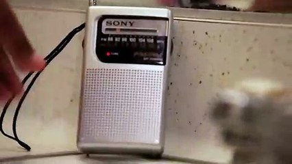 합법토토사이트 ※▶ ｍｉｒ１０１.ｃｏｍ 《카톡ｃｏｍｅ99》◀※ 합법토토사이트