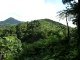 Martinique 001 - Ballade montagne pelée