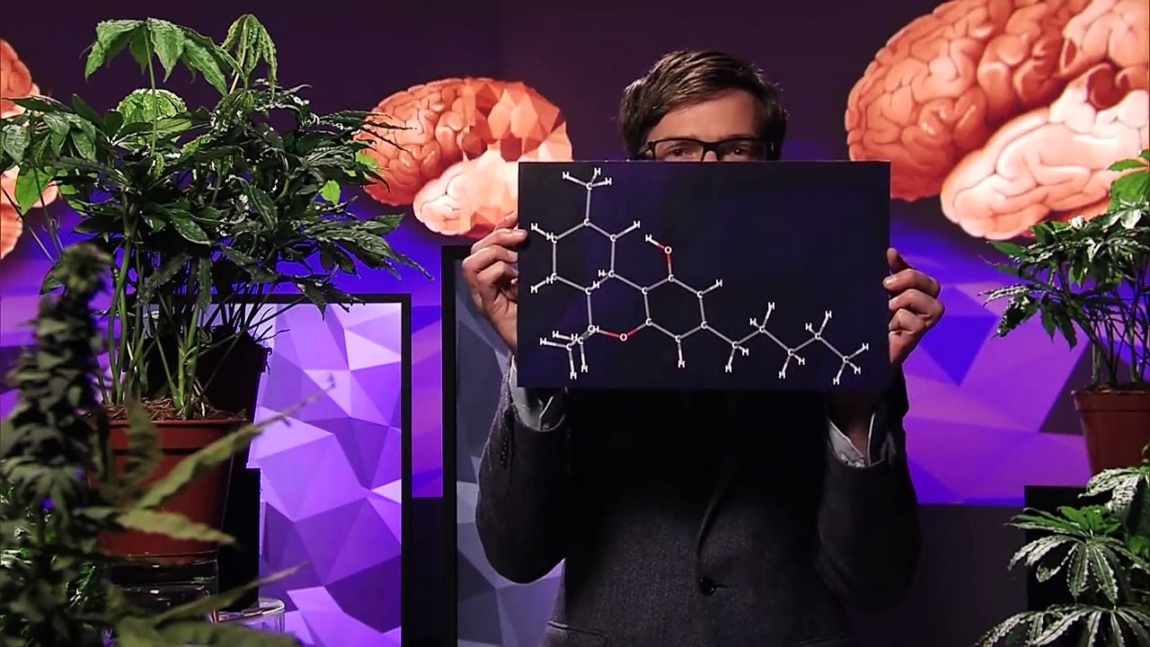 Hanf, oder  das unsägliche Verbot einer wichtigen Heilpflanze