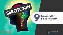 Serotonin Function and 9 Reasons Why It's So Important