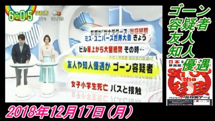 11-3 Zip !、ゴーン容疑者、友人知人優遇。菜々子の独り言　2018年12月17日(月）