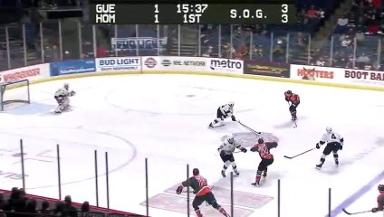 ECHL Worcester Railers 1 at Tulsa Oilers 5