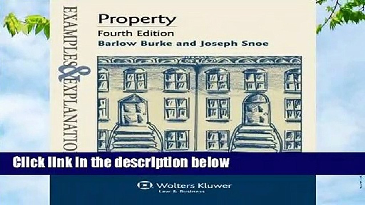 Examples and Explanations: Property, 4th Edition (Examples   Explanations)