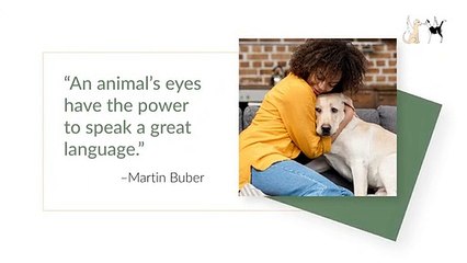Pet Communicator Los Angeles - 2-Day Workshop