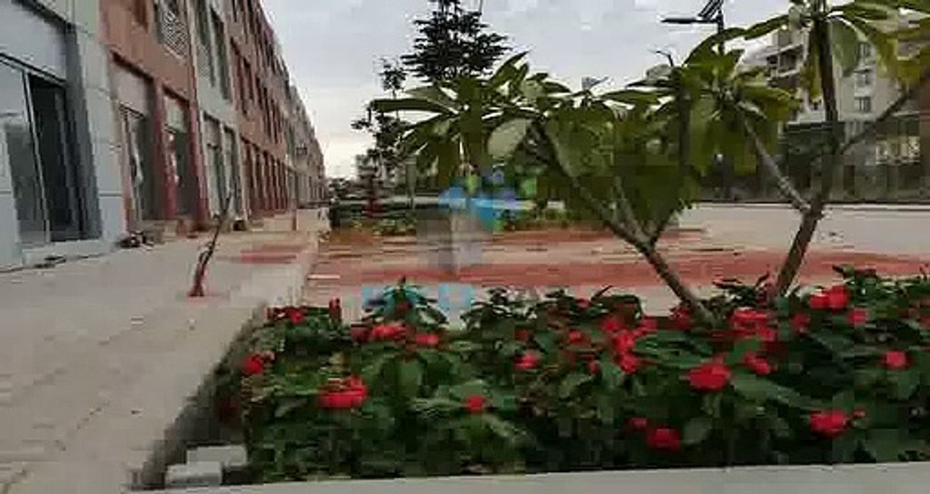 Office 107m fully finished for rent in Courtyard