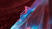 Frozen 2 - Official Movie Elsa, Anna, Olaf -Teaser Trailer2855