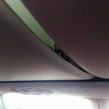 Un scorpion provoque la panique dans un avion