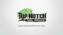 Tree Services | Top Notch Tree Service, Inc