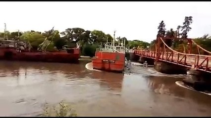 FAILS Compilation January 2019 MonthlyFails