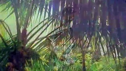 양양출장안마 {Ø1Øx2703x7745}【카톡VVV75】양양출장샵'예약'양양출장마사지 양양여대생출장 양양여고생출장 양양콜걸샵