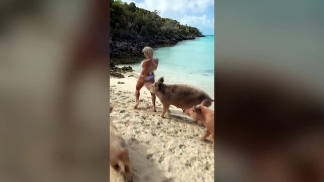 Elle se fait bouffer les fesses sur l'île aux cochons