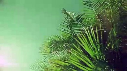 강진출장안마 {Ø1Øx2703x7745}【카톡VVV75】강진출장샵'예약'강진출장마사지 강진여대생출장 강진여고생출장 강진콜걸샵