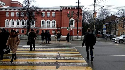 Dog's Strange Way of Walking