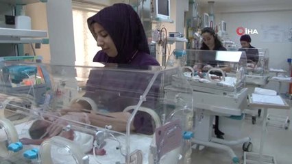 Onlar "El Bebeklerin" Ailesi