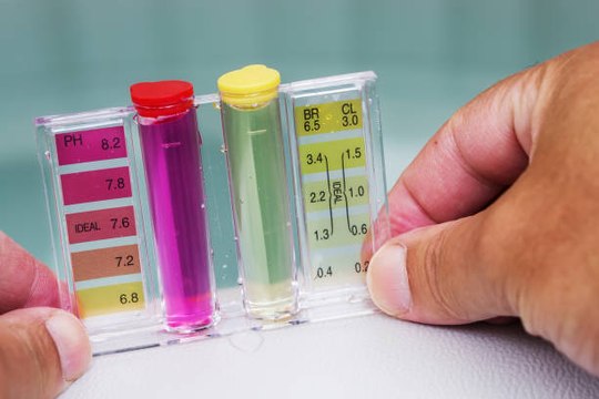 Comment savoir si l'eau de mon aquarium est saine ?