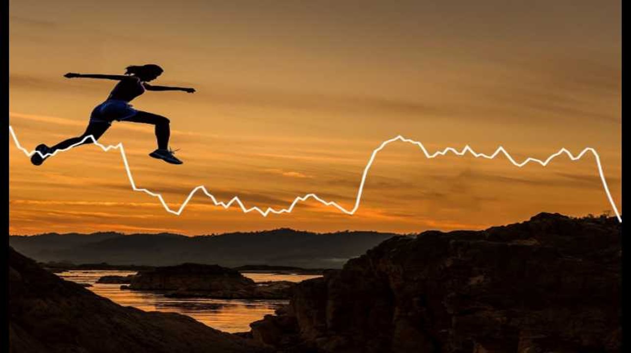 Minute Papillon! Flash info soir - 15 février 2019