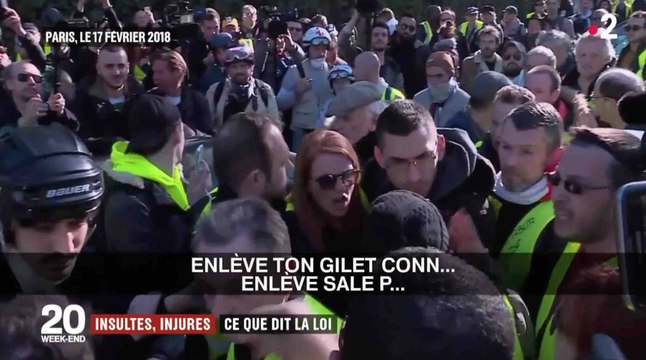 Ingrid Levavasseur expulsée par des gilets jaunes - ZAPPING ACTU DU 18/02/2019