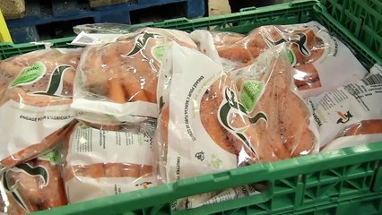 Une Semaine dans le Grand Est du 15 février 2019