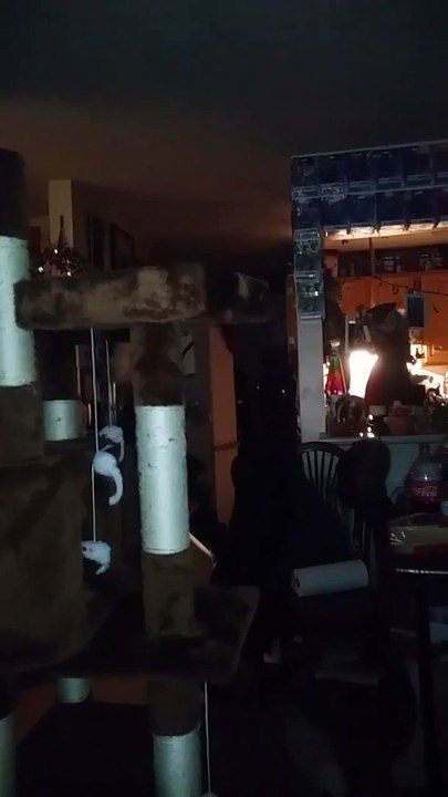 Haunted Doll shows Pulsating Spirit Orb while Communicating through Ghost Radar App.