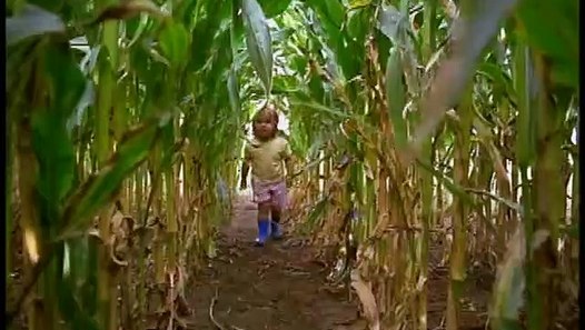 Baby Einstein - Baby MacDonald_ A Day on the Farm - video dailymotion