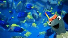 Baby Einstein - Baby Neptune