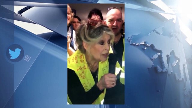 Brigitte Bardot soutient les gilets jaunes : son dernier geste fait sensation