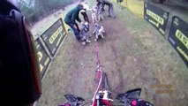 Excited huskies mush around Suffolk forest in dog-racing championship