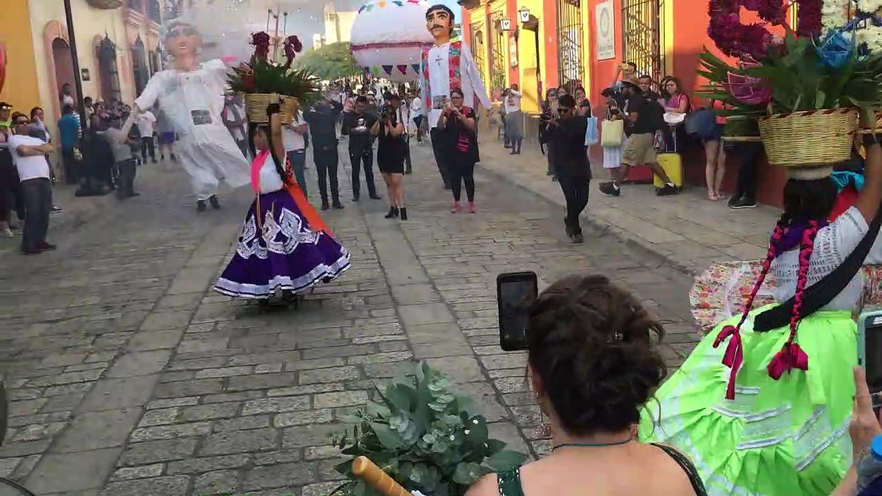 Dancing stray dog steals the show at Mexico festival