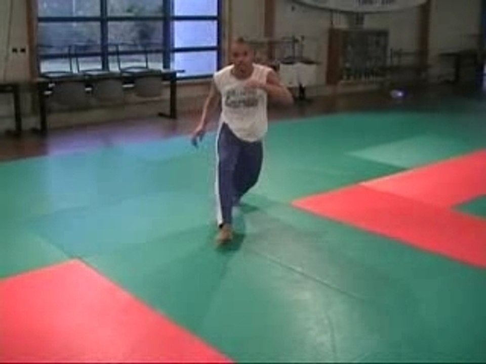 Capoeira vendome
