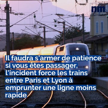 TGV, Eric Ciotti et les gilets jaunes , Toilettes mystérieuses: voici le brief info de ce lundi après-midi-midi