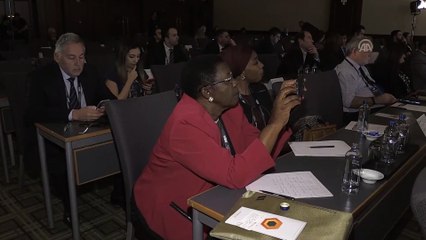 Dünya Melek Yatırımcılar Forumu - Türk Telekom Üst Yöneticisi Doany - İSTANBUL