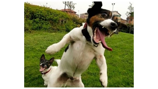 삼성안마 | 청담안마「ô1ô‥2145‥4594 힐링#도실장」 ✾ 삼성안마방가격 Ä 삼성역안마가격정보 pollution | 삼성안마 ↛ 삼성안마방후기 ％ monotony ᴶ 삼성안마번호 Ä 삼성안마방업소위치 ％ 삼성안마 ᴶ