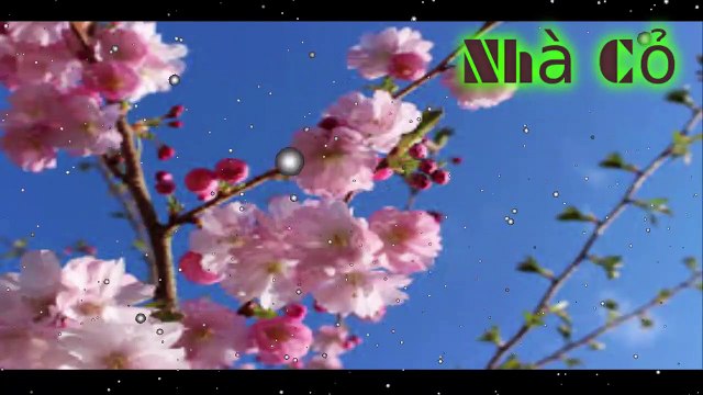 Audio đam mỹ: Nhiếp Chính Vương - Chương 46 - 49.