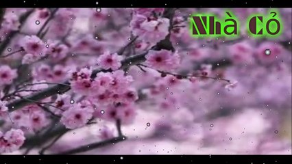 Audio đam mỹ: Nhiếp Chính Vương - Chương 54 - 57