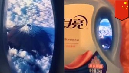 China's latest viral trend is pretending to fly